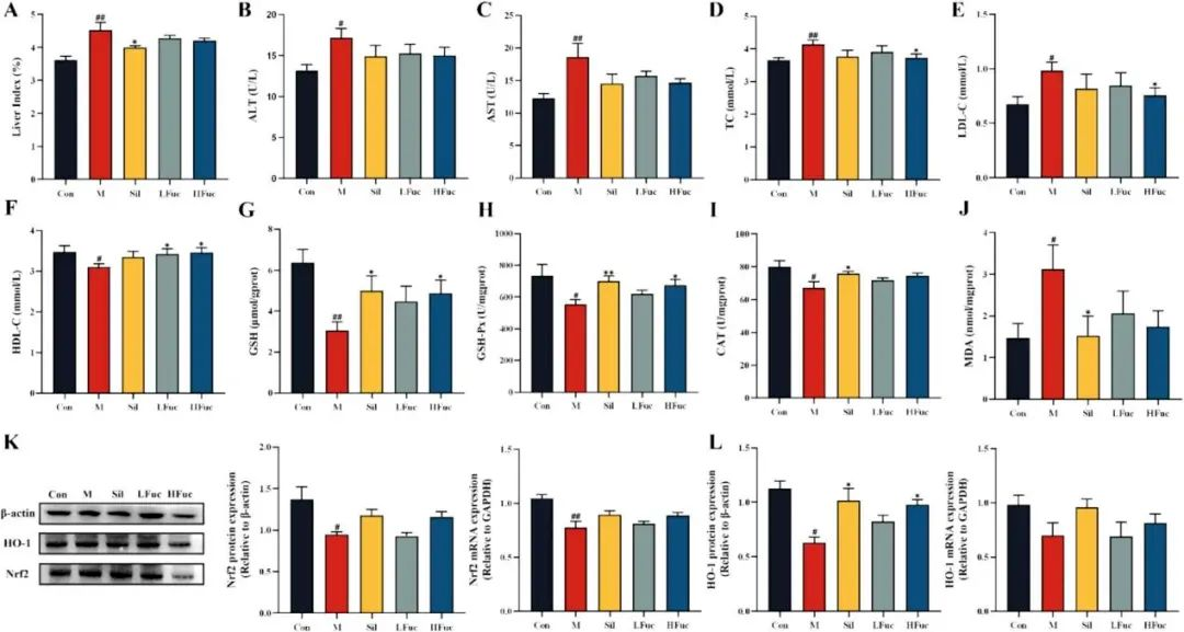微信图片_2025-08-29_182252_259.png 微信图片_2025-08-29_182252_259.png