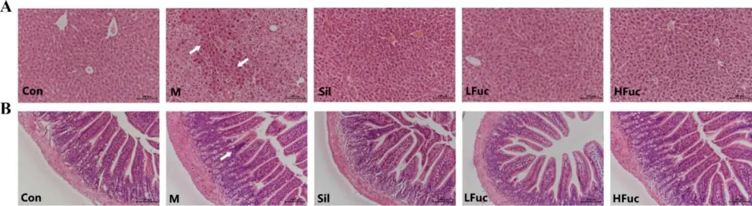 微信图片_2025-08-29_182255_438.png 微信图片_2025-08-29_182255_438.png